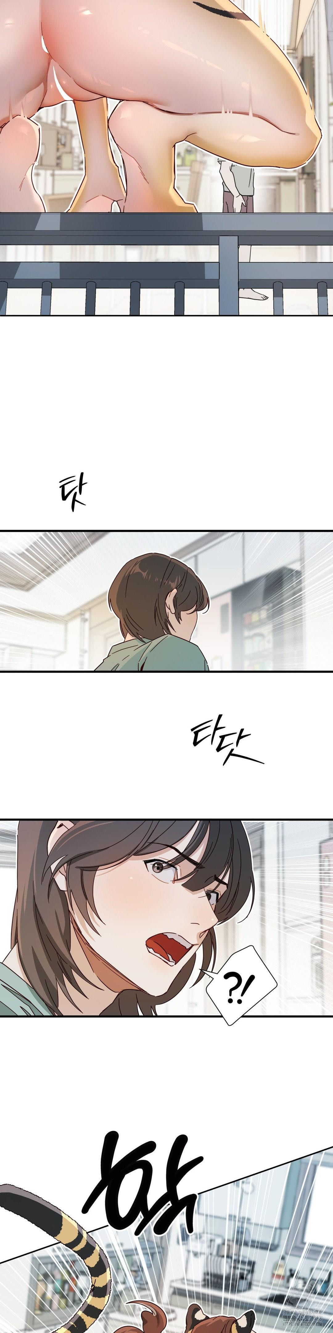Zoo’s Panic Raw - Chapter 2 - photo - 15