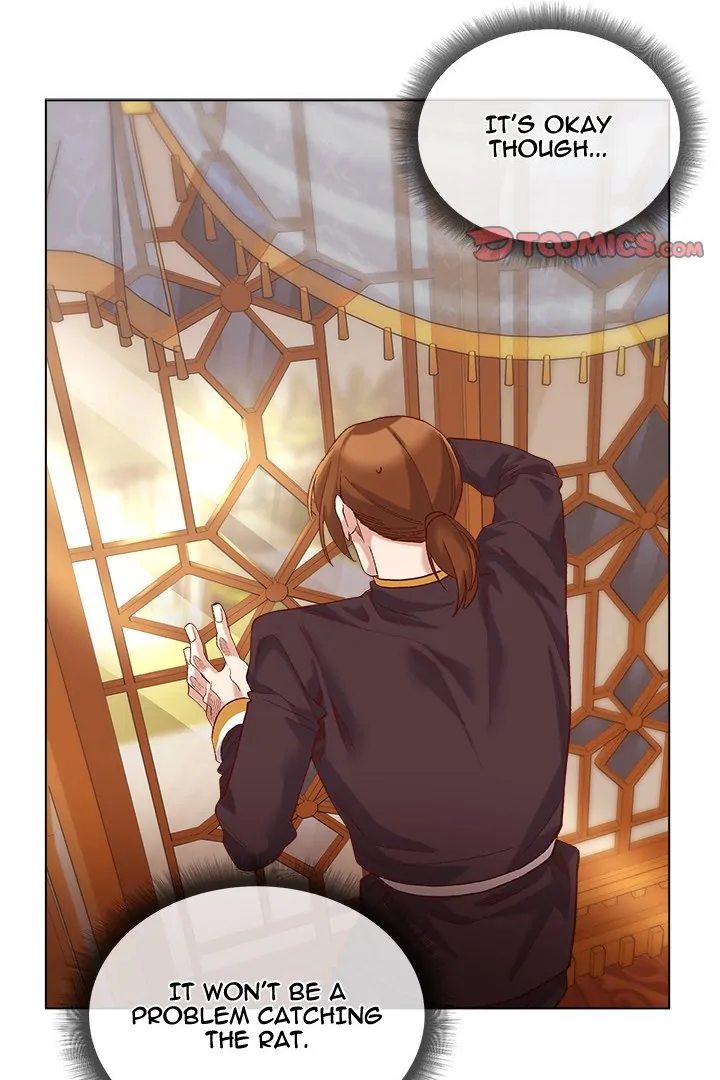 I Will Protect the Lady - Chapter 10 - photo - 54