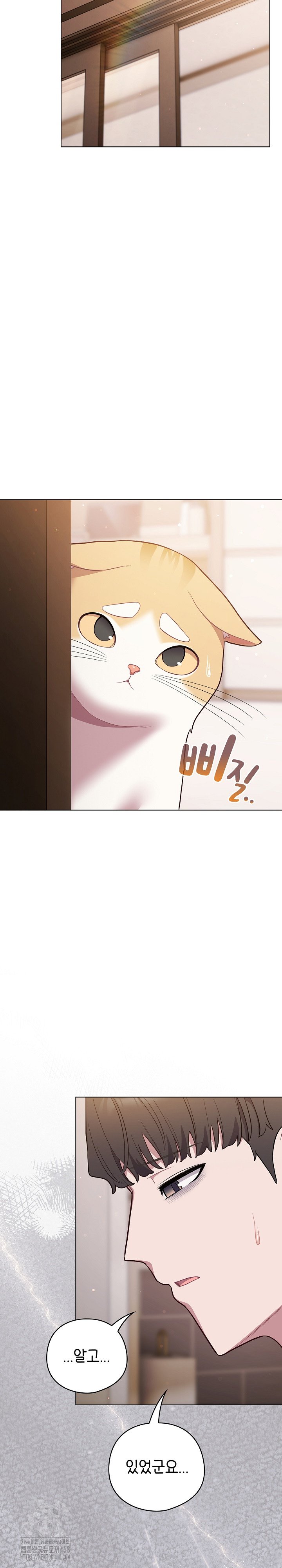 The General Is Here! Raw - Chapter 47 - photo - 8