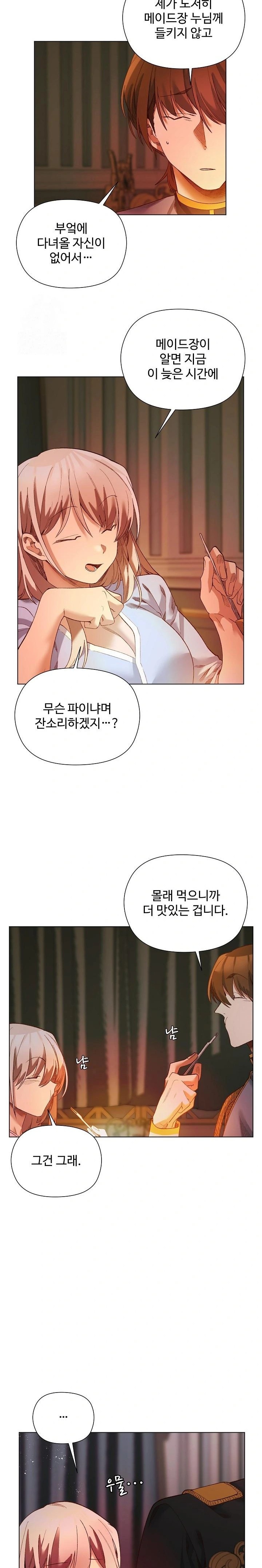 I Will Protect the Lady Raw - Chapter 17 - photo - 18